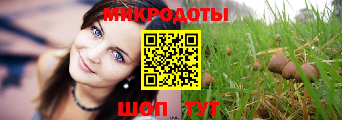 Галлюциногенные грибы MAGIC MUSHROOMS  Вход с VPN  Торжок 